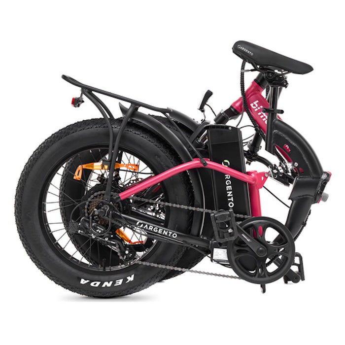 ARGENTO E BIKE BI MAX