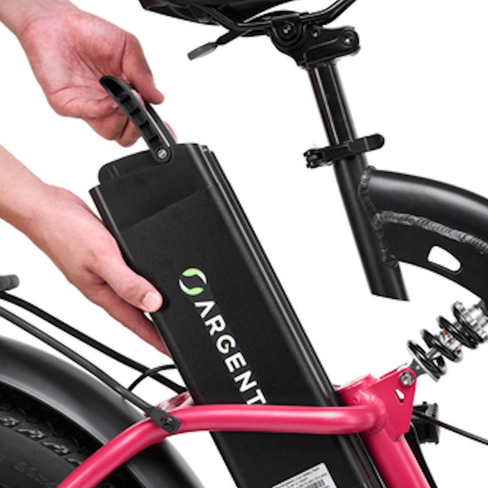 ARGENTO E BIKE BI MAX