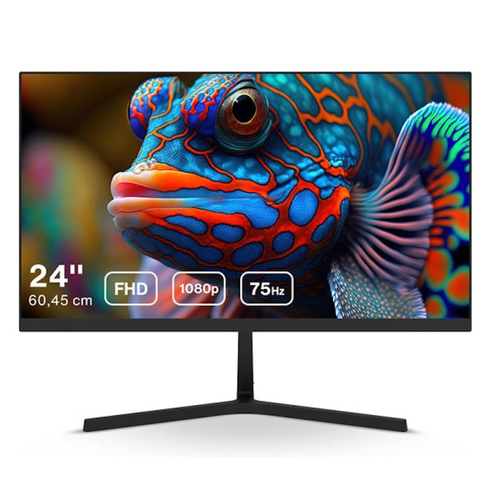 Dahua Full HD IPS Monitor - 75Hz - 24inch