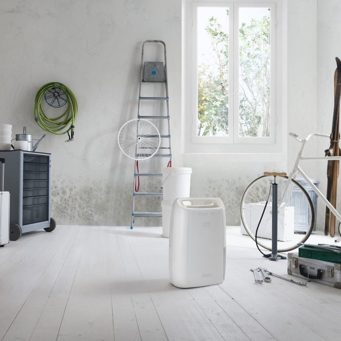 DELONGHI DEX210SF LUCHTONTVOCHTIGER
